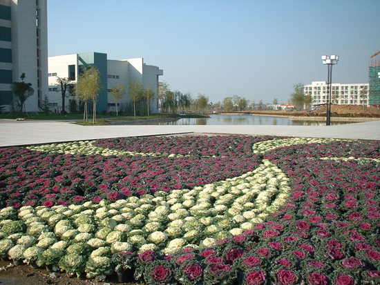 Nanjing Medical University, one of the 'top 10 Chinese universities for dentistry study' by China.org.cn.