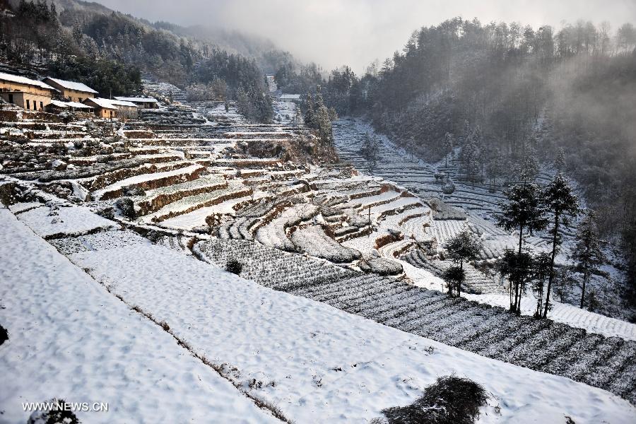 Photo taken on Feb. 9, 2013 shows leaves bearing snow in Dengcun township of Yiling District, Yichang, central China's Hubei Province