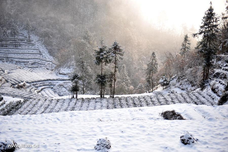 Photo taken on Feb. 9, 2013 shows the snow scenery of Dengcun township of Yiling District, Yichang, central China's Hubei Province