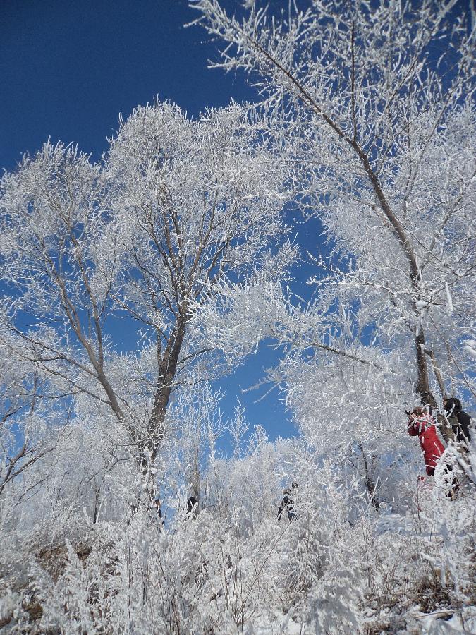 #CHINA-JILIN-CHANGCHUN-RIME (CN) 