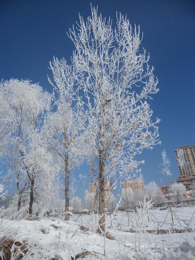 #CHINA-JILIN-CHANGCHUN-RIME (CN) 