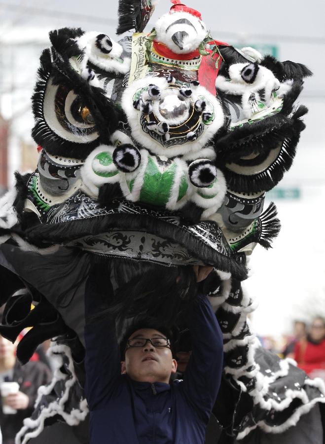 A man performs lion dance during a Lunar New Year of the Snake celebration at Chinatown in Vancouver, Canada, Feb. 17, 2013. The grand parade is one of the largest in North America, drawing 70,000 people to the streets of Chinatown.