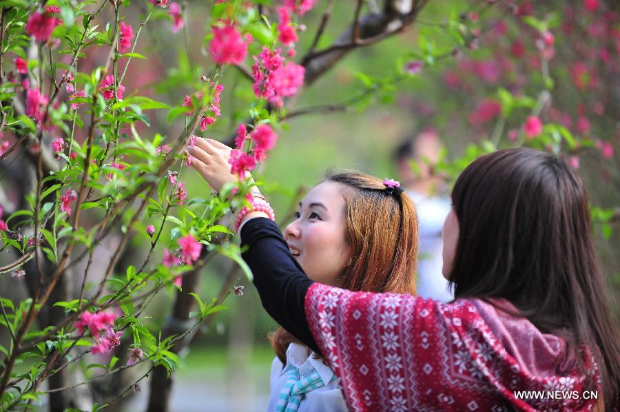 Two girls watch peach blossoms at Baiyun mountain in Guangzhou, capital of south China's Guangdong Province, Feb. 18, 2013.