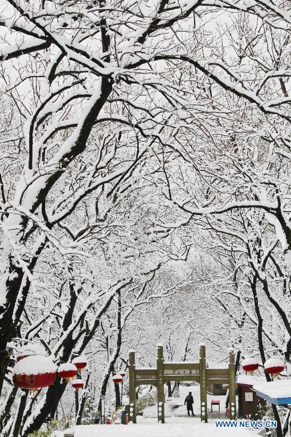 Photo taken on Feb. 19, 2013 shows the snow scene of the Junshan Mountain in Nantong, east China's Jiangsu Province, Feb. 19, 2013.