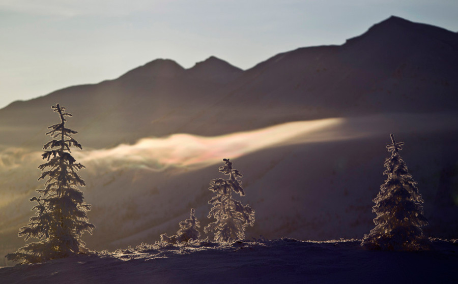 奥伊米亚康村的雪景。 