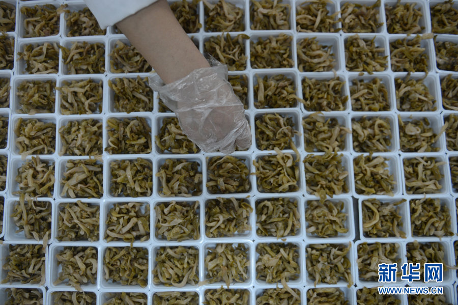 A worker prepares airline food inside China Southern Airlines' Changchun in-flight food company, on Jan. 31, 2013. The company is capable of providing airline meals for more than 7,000 passengers every day during the Spring Festival travel peak. The whole procedure, from purchasing the raw materials to getting the prepared food onto the plane, takes at least six hours. [Xinhua]