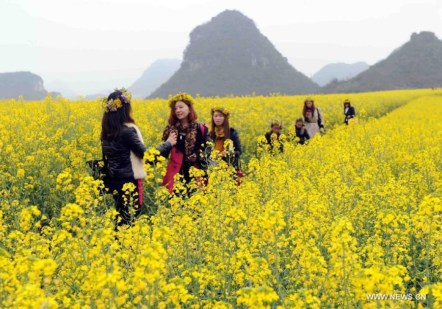 Tourists enjoy cole flowers in the field in Luoping County of Qujing City, southwest China's Yunnan Province, Feb. 21, 2013.