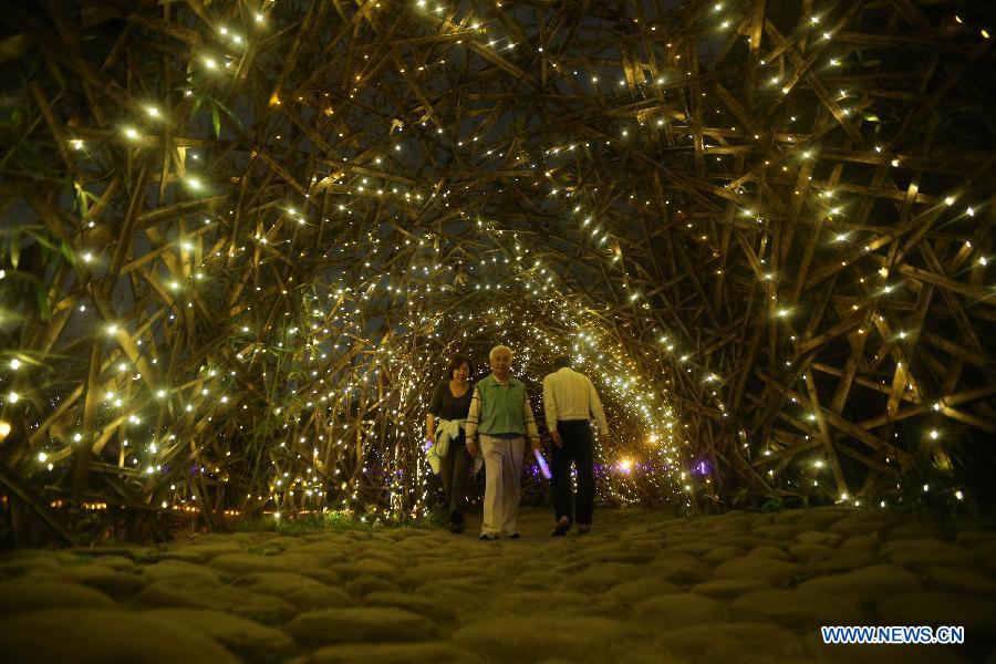 Citizens look at a light show at Taipei Flora Expo Park in Taipei, southeast China's Taiwan, Feb. 21, 2013.