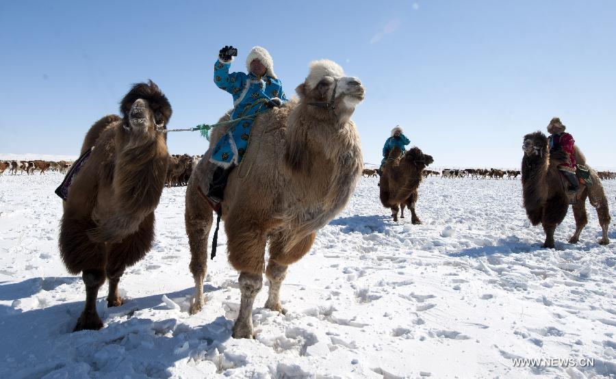 CHINA-INNER MONGOLIA-CHIFENG-LIVESTOCK PROSPERITY FESTIVAL (CN)