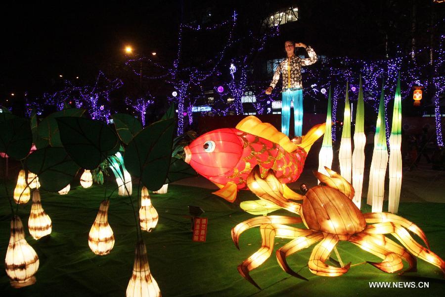 Photo taken on Feb. 24, 2013 shows colored lanterns at the Taiwan Lantern Festival in Hsinchu, southeast China's Taiwan. 