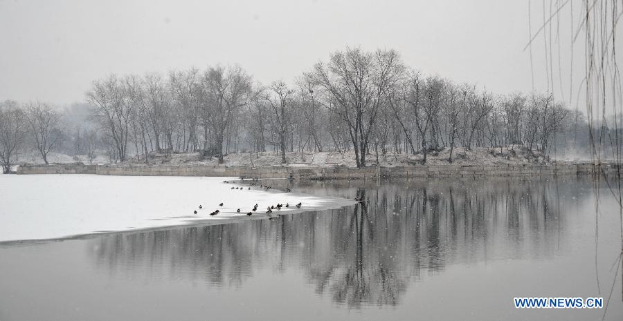 CHINA-BEIJING-SNOW FALL (CN)