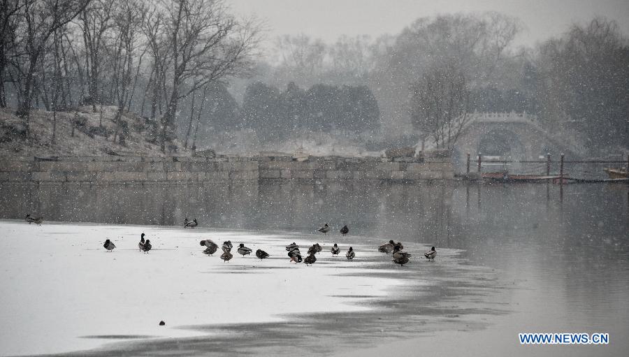 CHINA-BEIJING-SNOW FALL (CN)