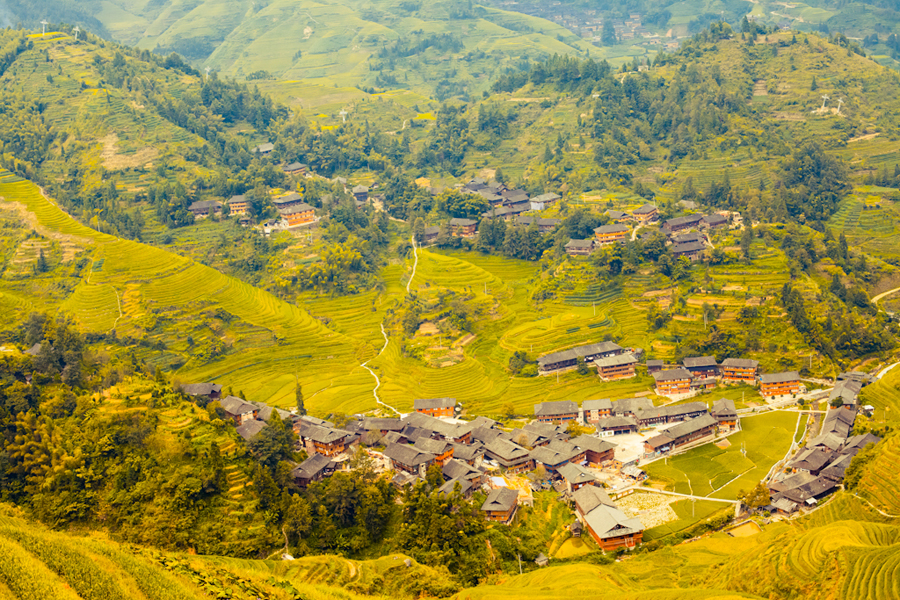 Located on Longji Mountain of Pingan Village, Longji Terrace, also known as Longsheng Terrace Field, is a fascinating scenic spot. First constructed in Yuan Dynasty and completed in Qing Dynasty, it has over 650 years of history.