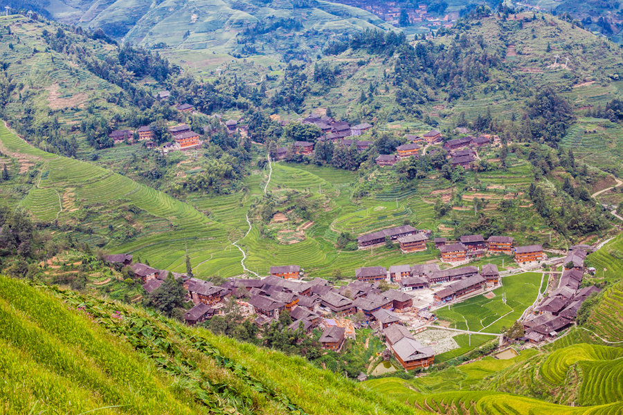 Located on Longji Mountain of Pingan Village, Longji Terrace, also known as Longsheng Terrace Field, is a fascinating scenic spot. First constructed in Yuan Dynasty and completed in Qing Dynasty, it has over 650 years of history.