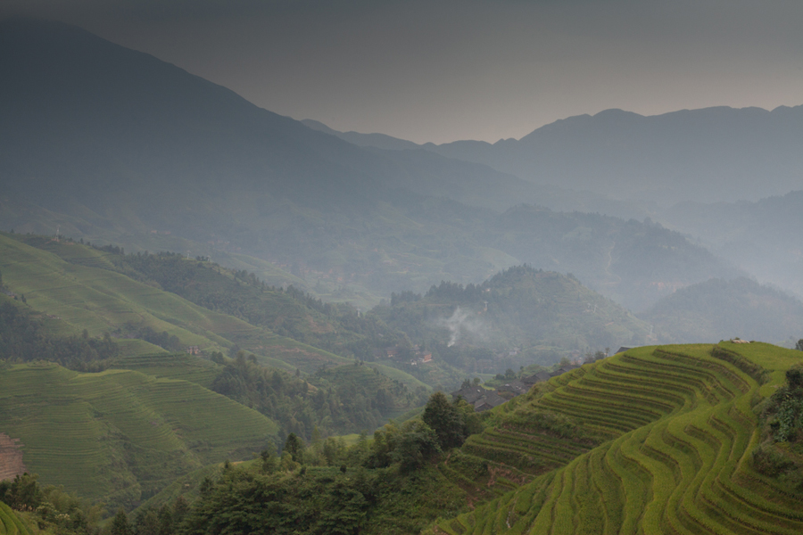 Located on Longji Mountain of Pingan Village, Longji Terrace, also known as Longsheng Terrace Field, is a fascinating scenic spot. First constructed in Yuan Dynasty and completed in Qing Dynasty, it has over 650 years of history.