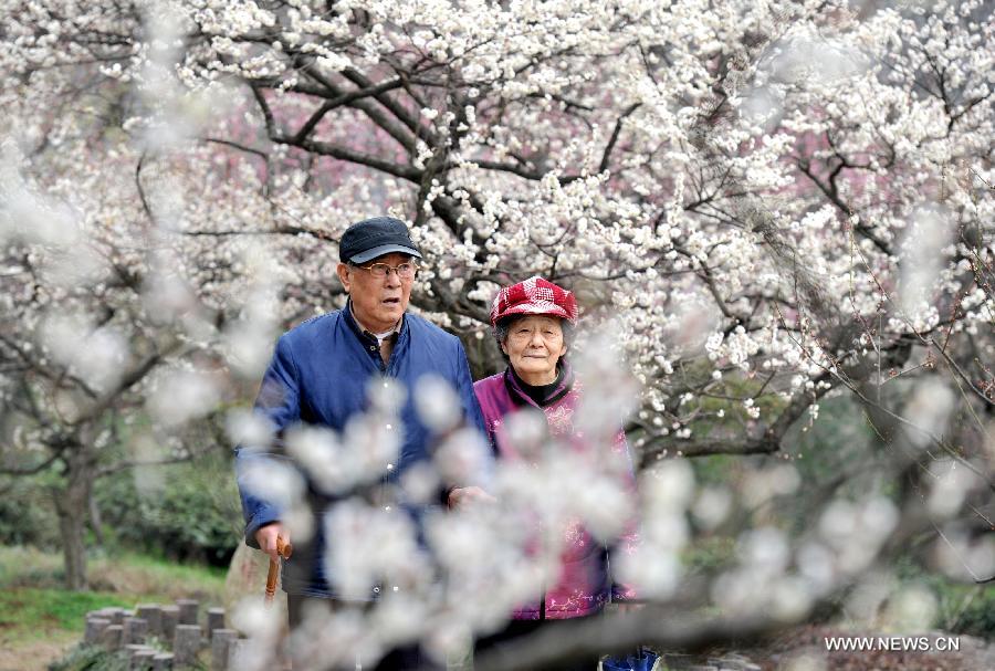 #CHINA-JIANGSU-SCENERY-PLUM BLOSSOM (CN)