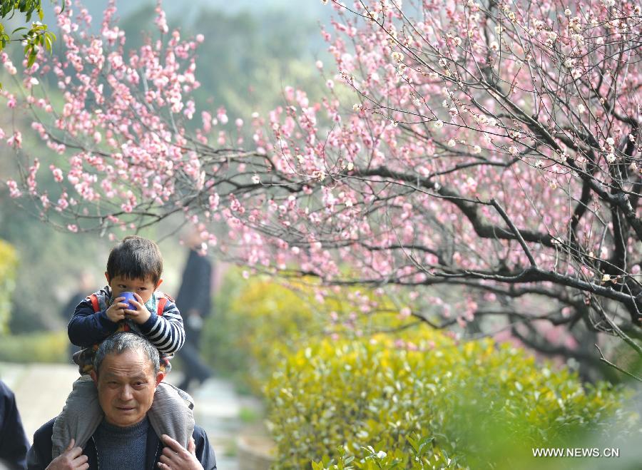 #CHINA-JIANGSU-SCENERY-PLUM BLOSSOM (CN)