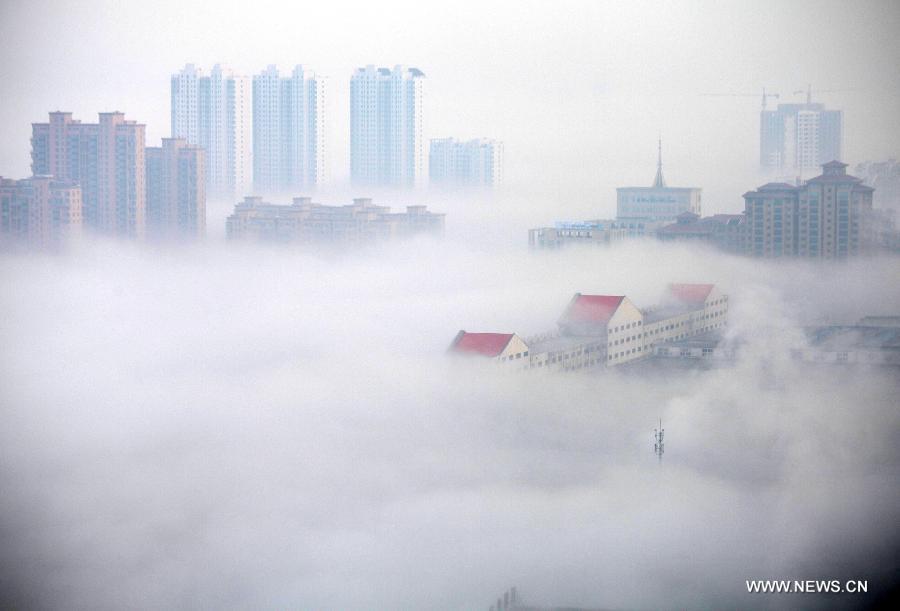 #CHINA-SHANDONG-WEIHAI-FOG (CN)