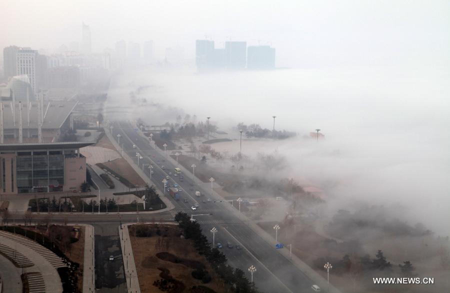 #CHINA-SHANDONG-WEIHAI-FOG (CN)