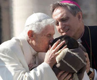 Pope speaks in emotional farewell