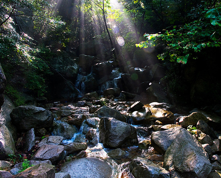 Funiu Mountain Geopark lies in Xixia County, in southwest Henan Province. As a comprehensive geopark, the park consists of a world biosphere reserve, a national nature reserve, a reserve of fossilized dinosaur eggs and a national mine park. 