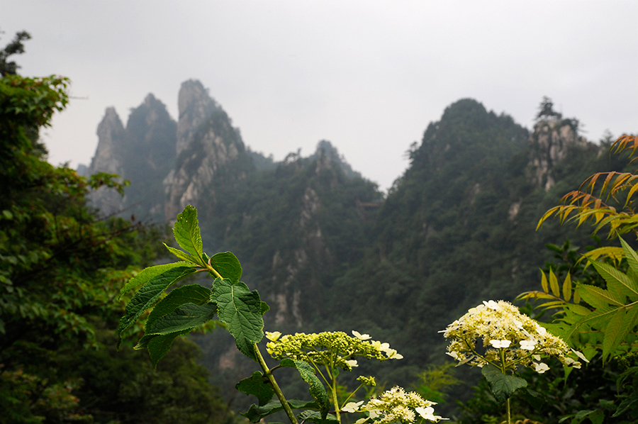 Funiu Mountain Geopark lies in Xixia County, in southwest Henan Province. As a comprehensive geopark, the park consists of a world biosphere reserve, a national nature reserve, a reserve of fossilized dinosaur eggs and a national mine park. 