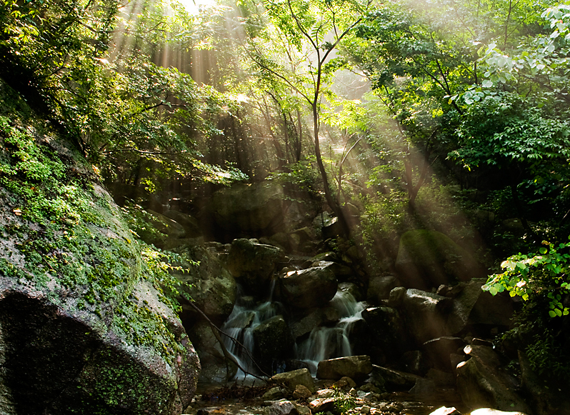 Funiu Mountain Geopark lies in Xixia County, in southwest Henan Province. As a comprehensive geopark, the park consists of a world biosphere reserve, a national nature reserve, a reserve of fossilized dinosaur eggs and a national mine park. 