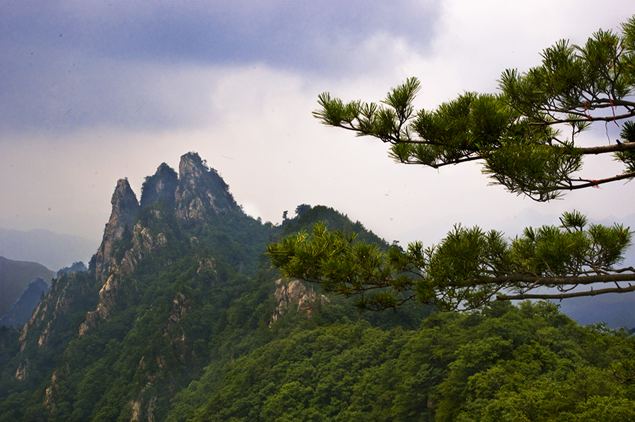 Funiu Mountain Geopark lies in Xixia County, in southwest Henan Province. As a comprehensive geopark, the park consists of a world biosphere reserve, a national nature reserve, a reserve of fossilized dinosaur eggs and a national mine park. 