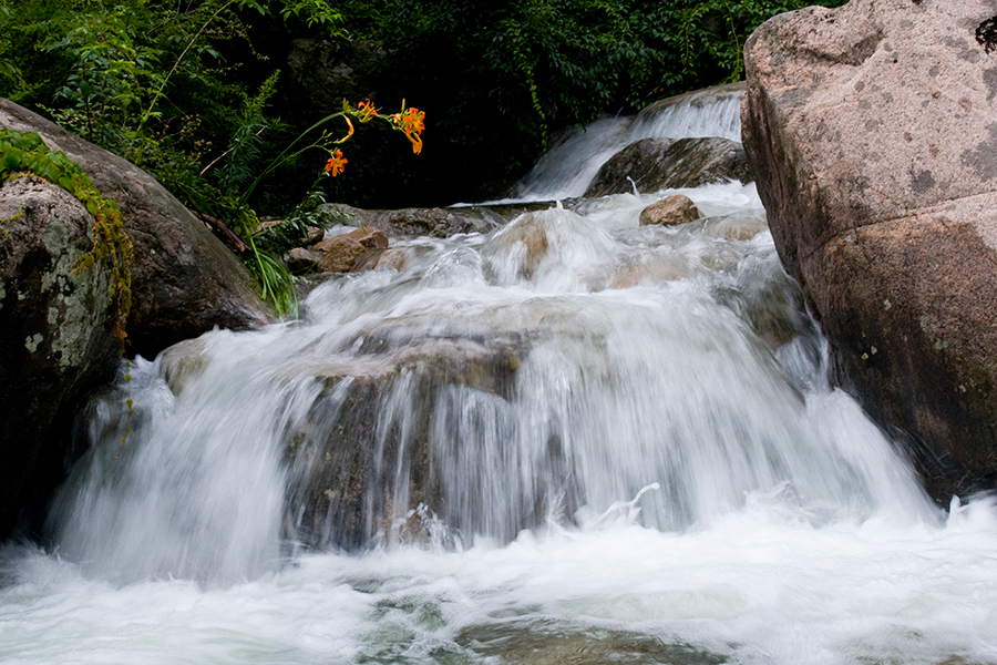 Funiu Mountain Geopark lies in Xixia County, in southwest Henan Province. As a comprehensive geopark, the park consists of a world biosphere reserve, a national nature reserve, a reserve of fossilized dinosaur eggs and a national mine park. 