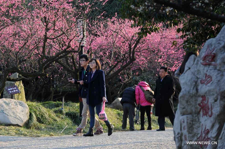 Visitors view plum blossom in Chaoshan Scenic Spot of Yuhang District in Hangzhou, capital of east China's Zhejiang Province, March 3, 2013. 