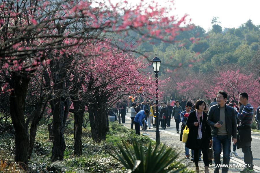 Visitors view plum blossom in Chaoshan Scenic Spot of Yuhang District in Hangzhou, capital of east China's Zhejiang Province, March 3, 2013. 