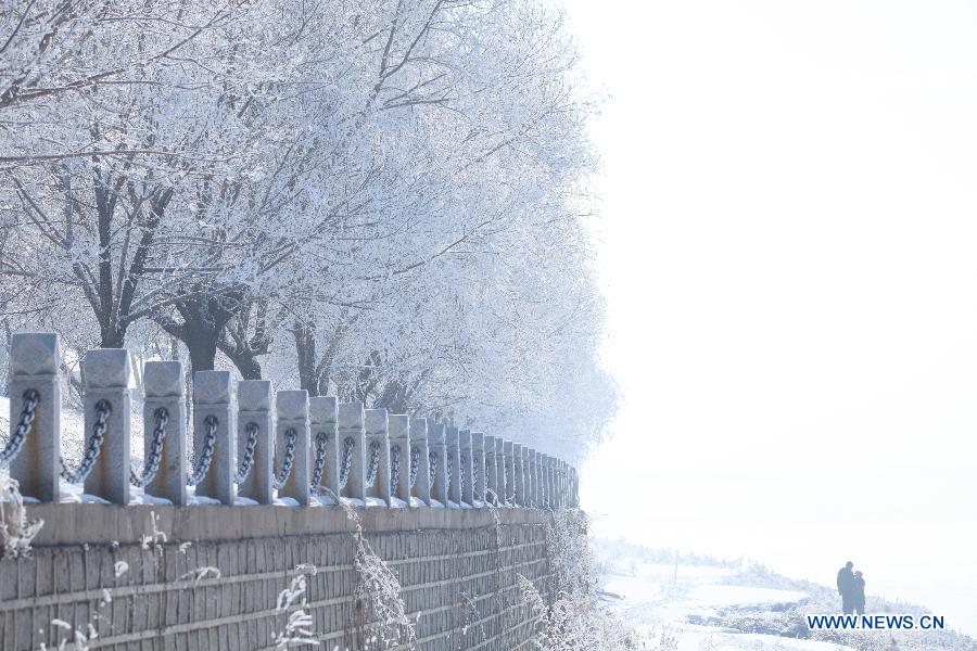 People enjoy rime scenery in NE China's Jilin