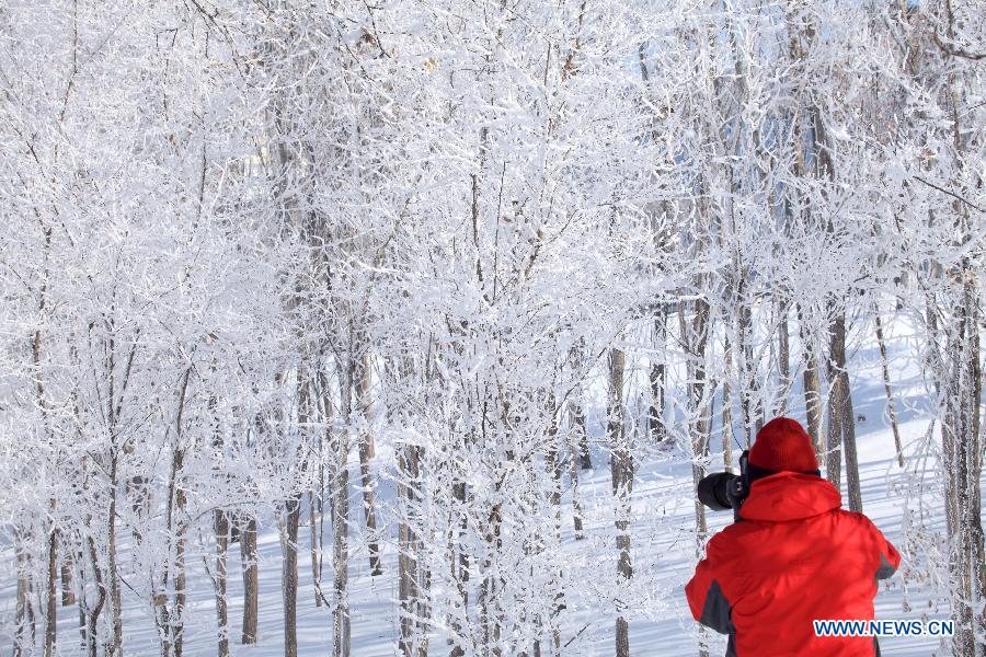 People enjoy rime scenery in NE China's Jilin