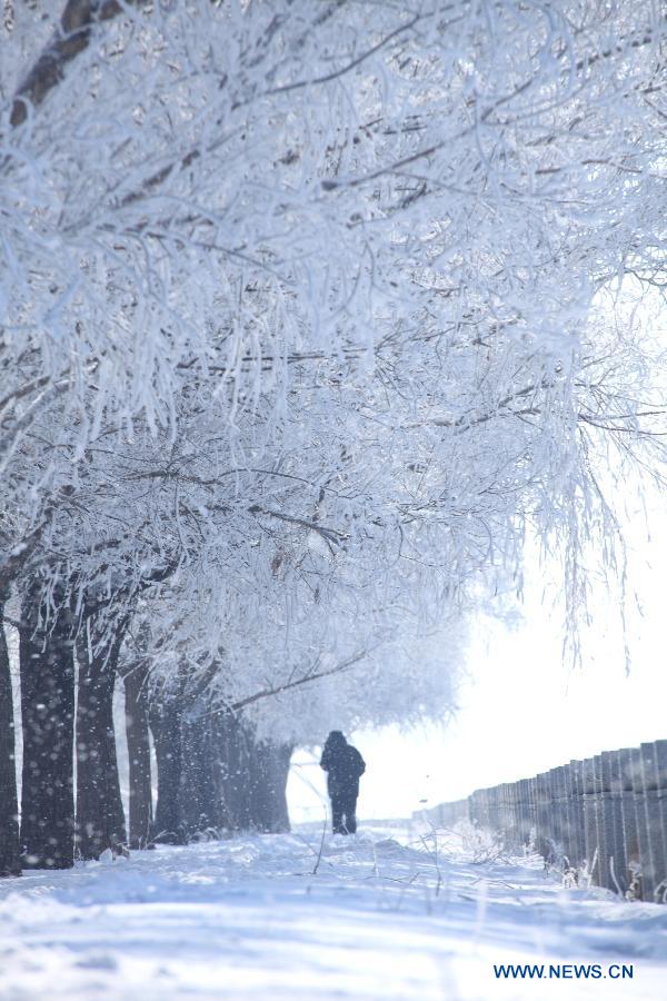 People enjoy rime scenery in NE China's Jilin