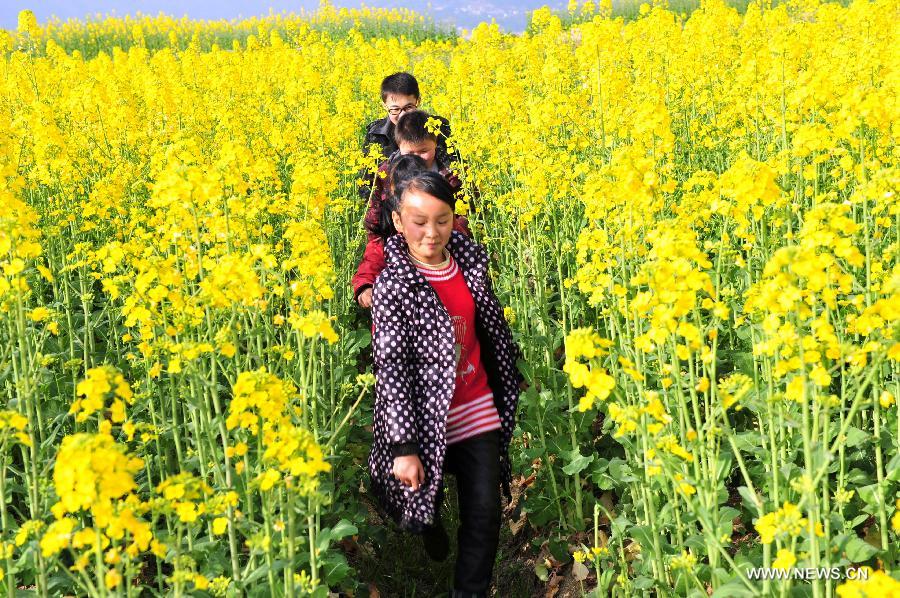 #CHINA-HUBEI-ZIGUI-RAPE FLOWERS-SCENERY (CN)