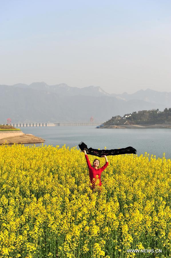 #CHINA-HUBEI-ZIGUI-RAPE FLOWERS-SCENERY (CN)