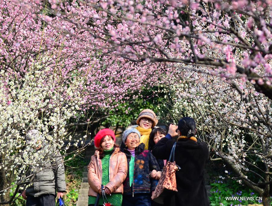 Visitors view plum blossoms in China's Jiangsu