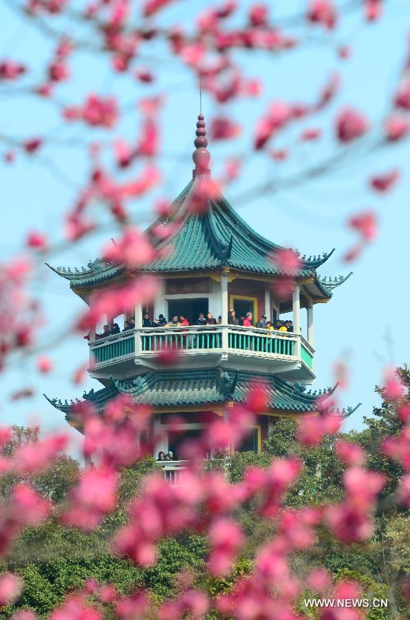 Visitors view plum blossoms in China's Jiangsu