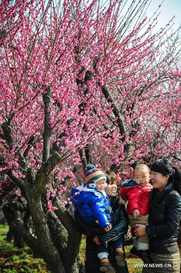 Visitors view plum blossoms in China's Jiangsu