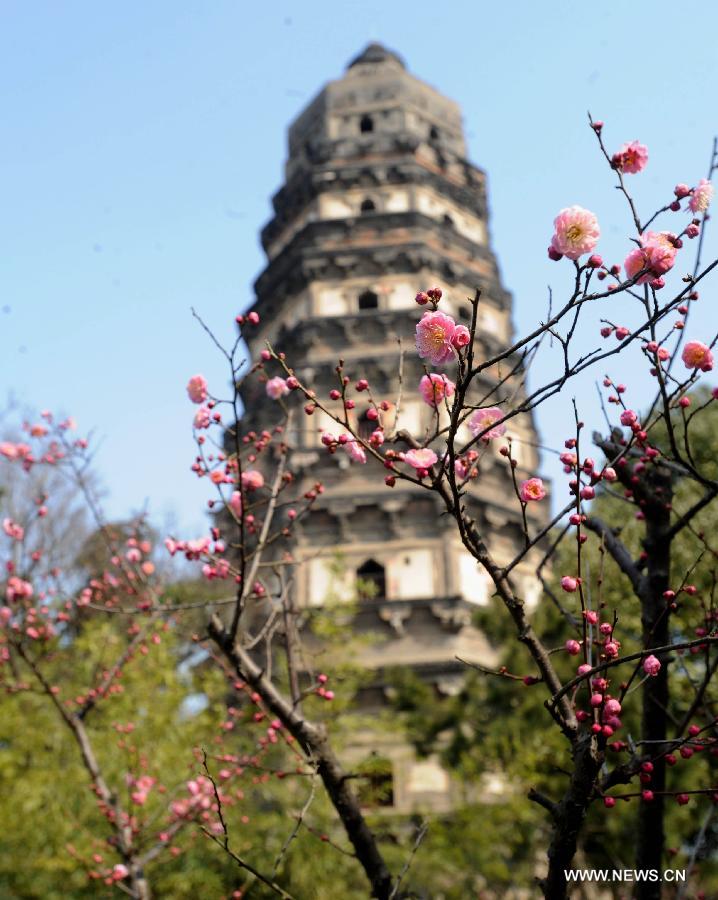 #CHINA-JIANGSU-SUZHOU-PLUM BLOSSOMS (CN)