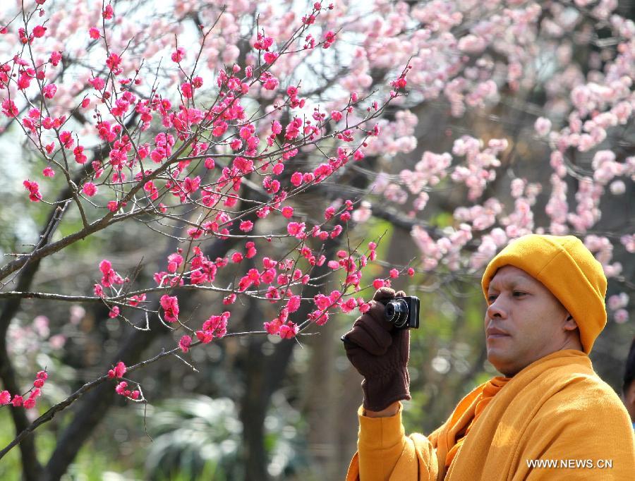 Visitors view plum blossoms in China's Jiangsu