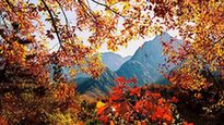 Mengshan Mountain