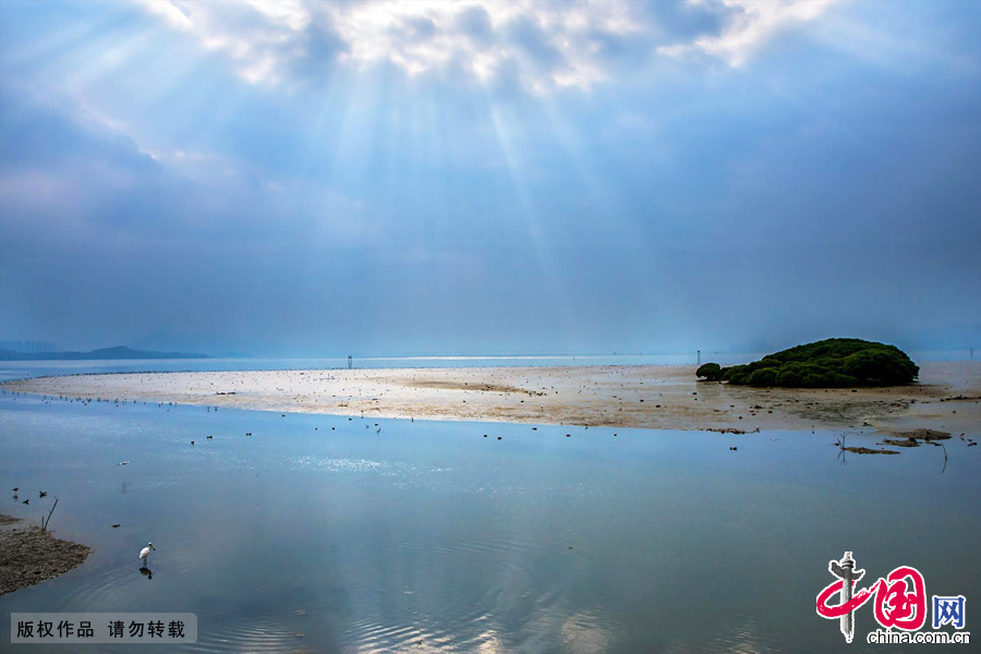 Located in Shenzhen Bay near the southern end of Futian district, Mangrove National Park was set up as a provincial reserve in October 1984, and was recognized as a state natural reserve by the State Council in 1988. 