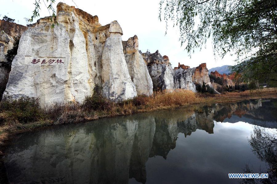 CHINA-YUNNAN-LULIANG-SHALIN SCENIC AREA-TOURISM (CN) 
