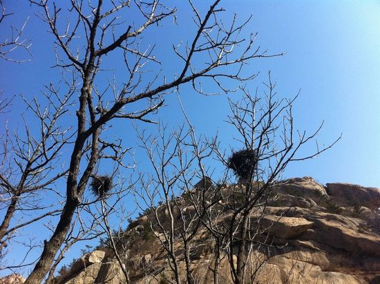 Mount Laoshan in Qingdao