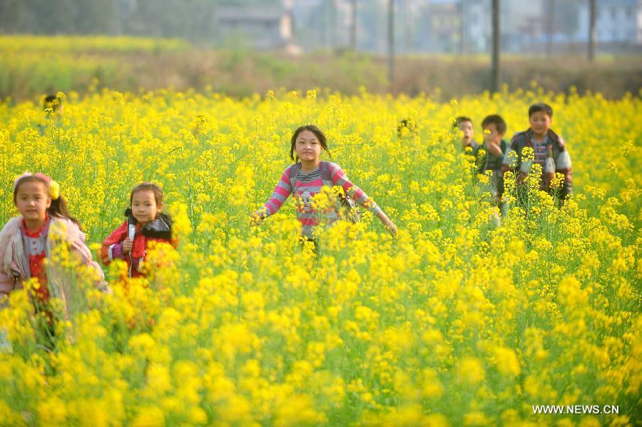 #CHINA-GUANGXI-RONG'AN-COLE FIELD (CN)