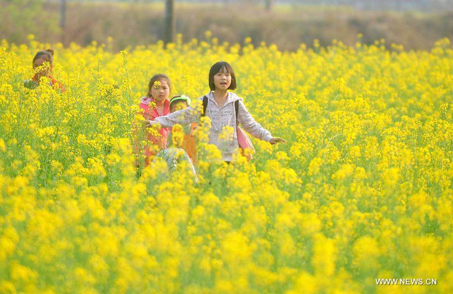 #CHINA-GUANGXI-RONG'AN-COLE FIELD (CN)