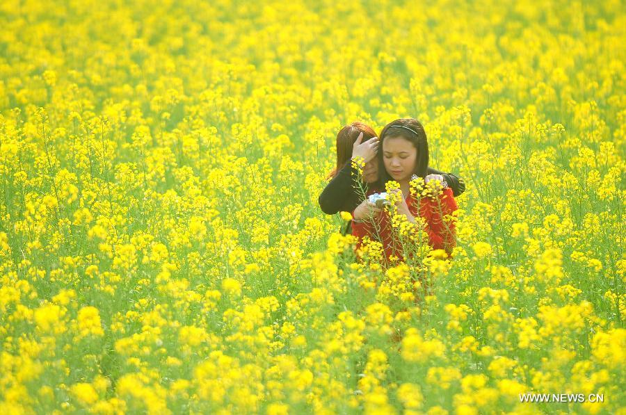 #CHINA-GUANGXI-RONG'AN-COLE FIELD (CN)