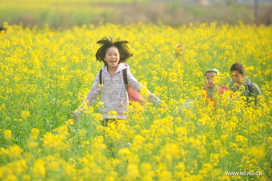 #CHINA-GUANGXI-RONG'AN-COLE FIELD (CN)