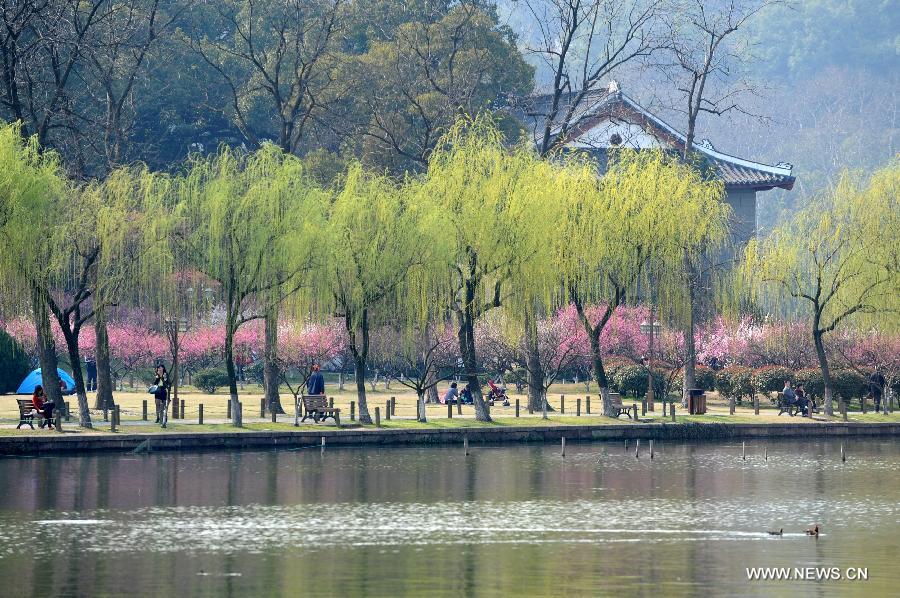 CHINA-ZHEJIANG-HANGZHOU-EARLY SPRING (CN) 